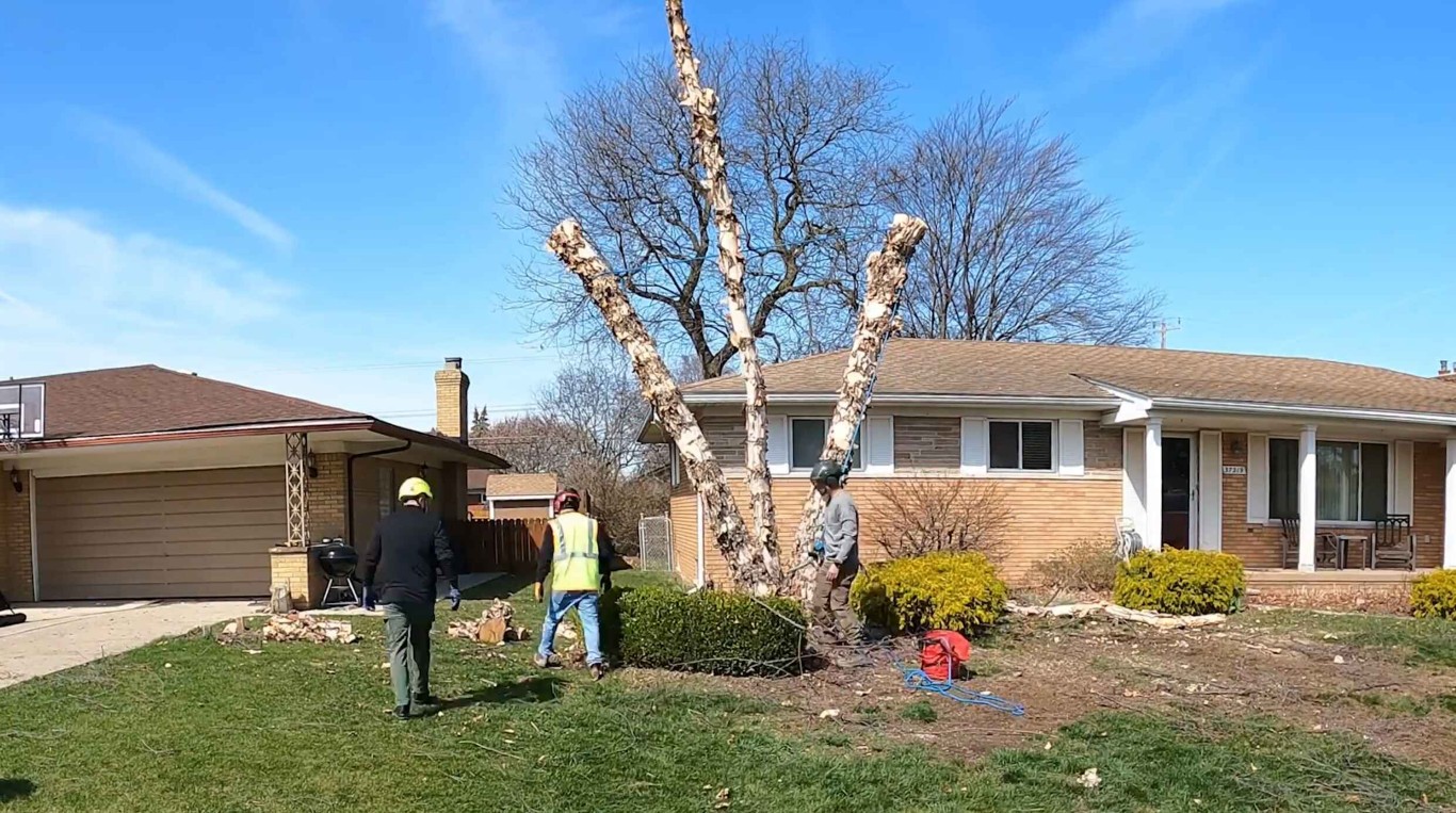 Professional shrub and hedge trimming creating manicured landscape in Menifee residential property