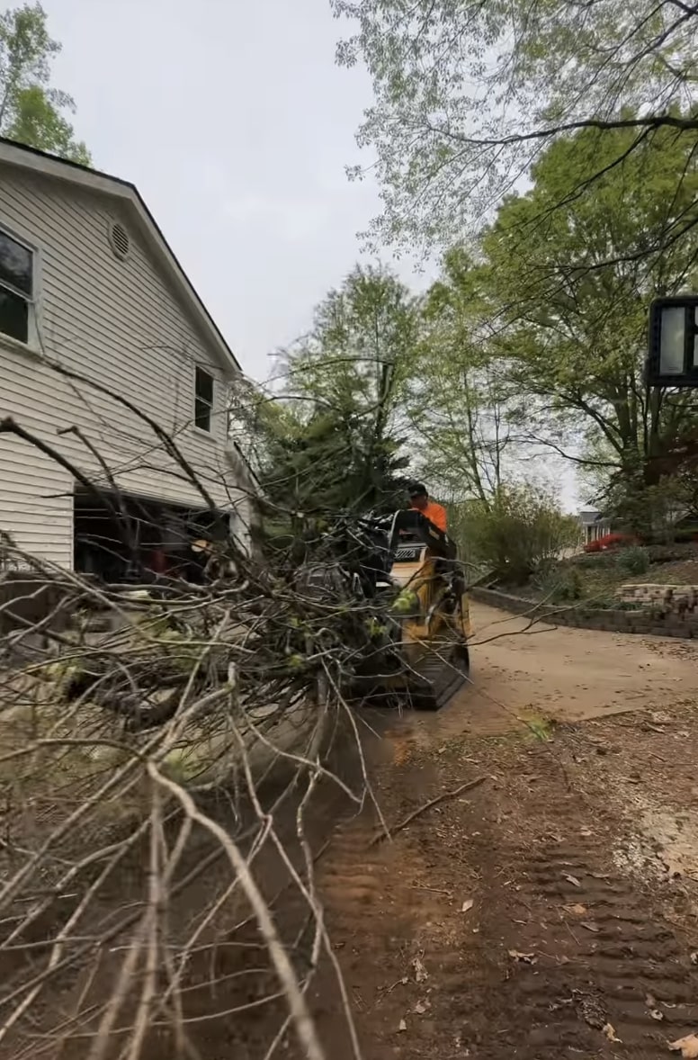 Professional tree removal equipment clearing fallen tree in Menifee residential area